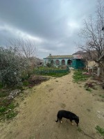 Sale country house 12.5sot, Sumgayit